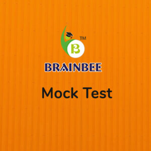 Mock Test